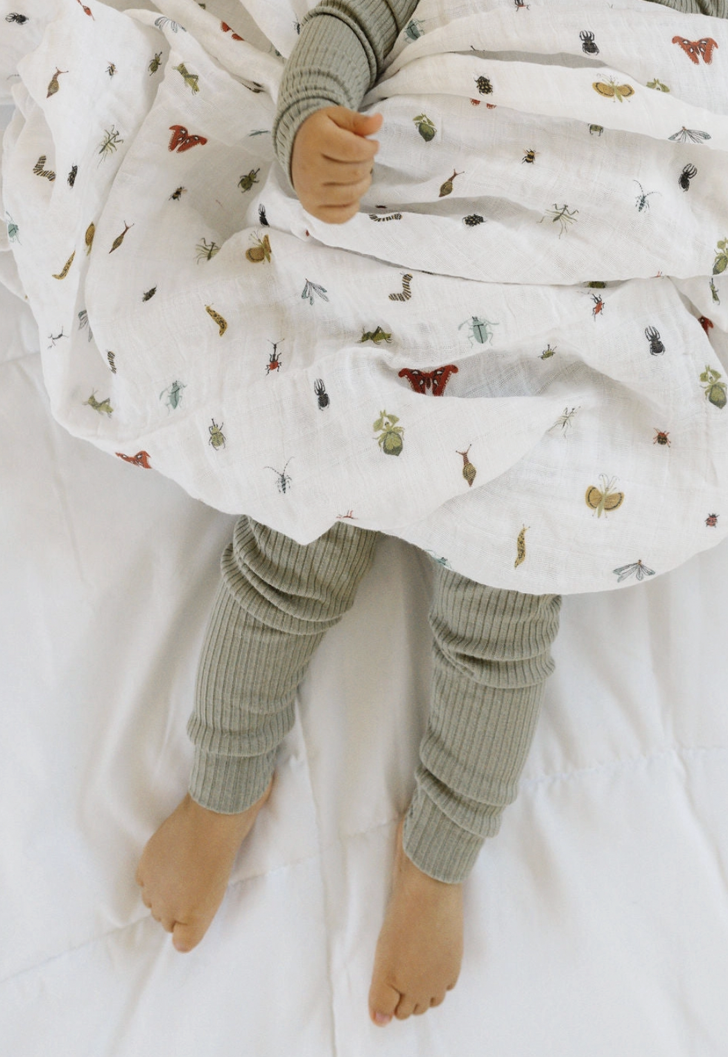 Screen Shot 2026-02-23 at 6.50.41 PM.png