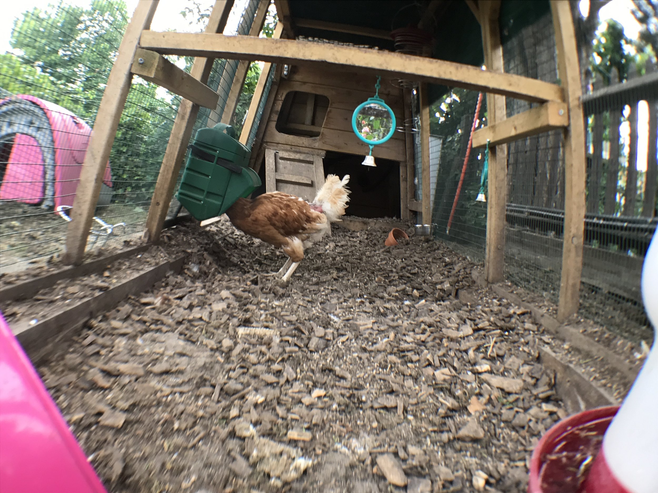 2017-05-27_17-53-17_090.jpeg