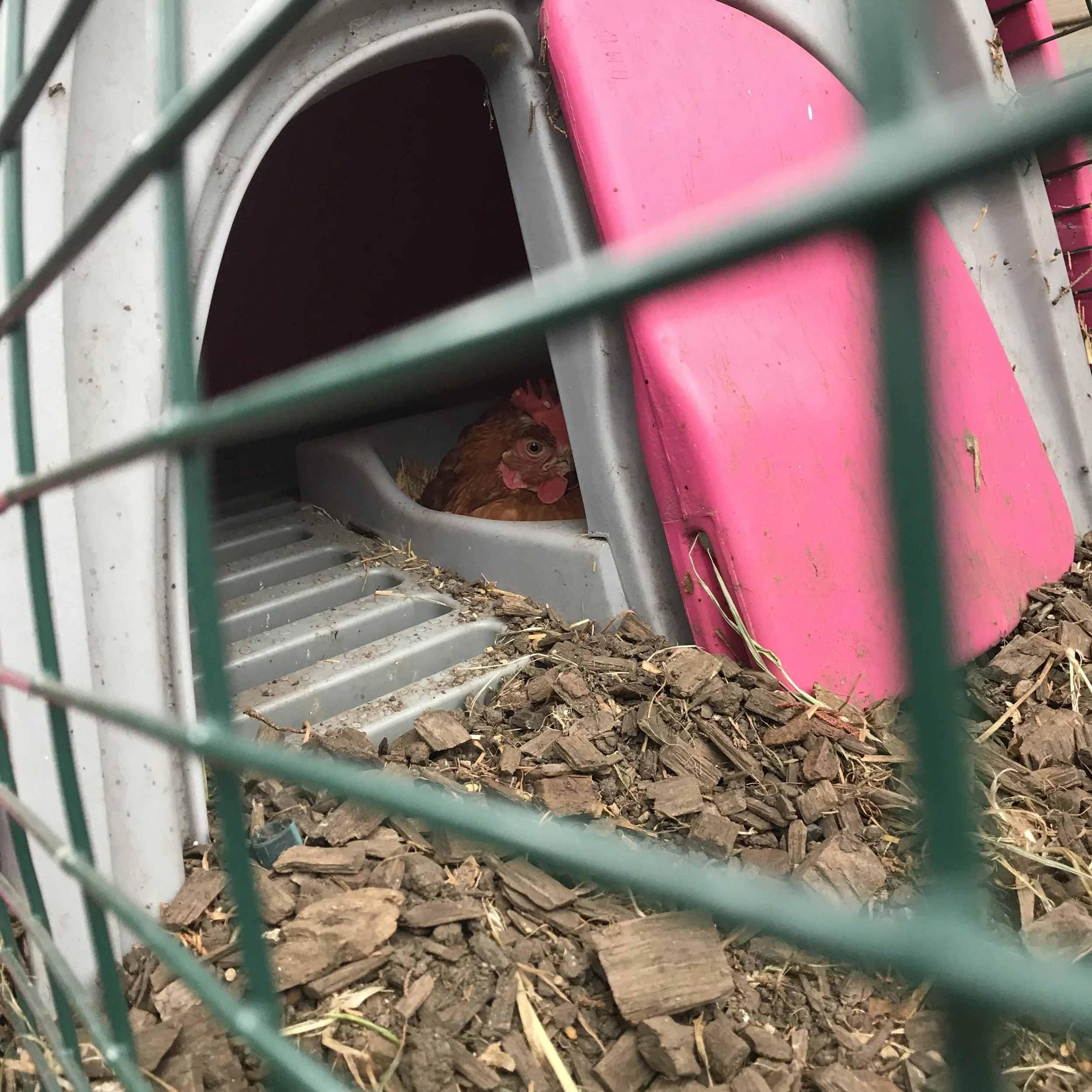 2017-05-30_06-58-03_014.jpeg