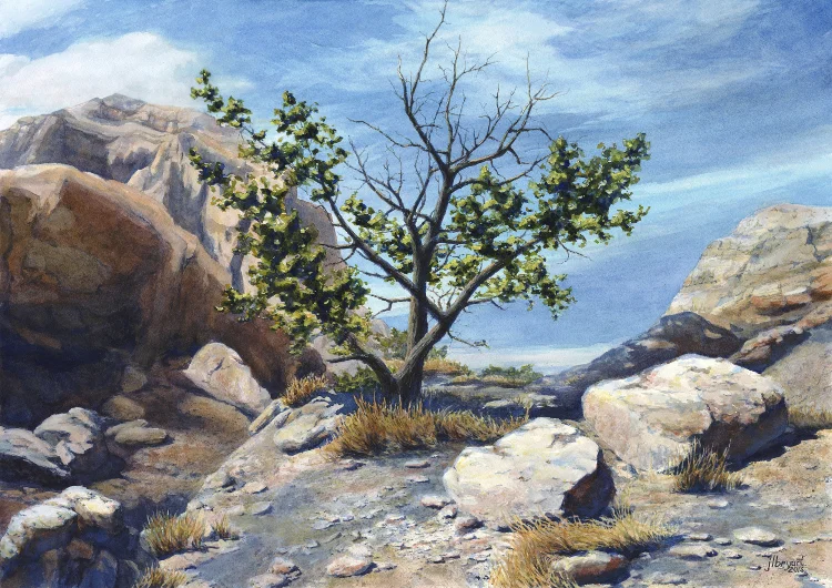 Above Cedar Pass watercolor : 14 x 20" : print $175 : original available