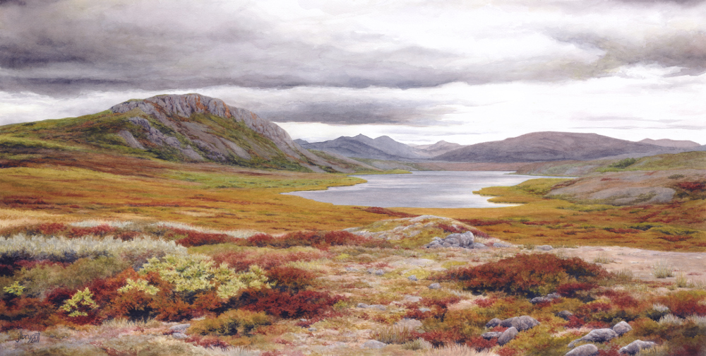 Long Lake, Noatak National Preserve, Alaska watercolor : 14.5 x 29" : print $275 : original available