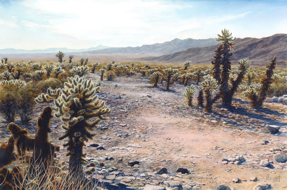 Cholla Cactus Garden, Joshua Tree National Park watercolor : 12 x 18" : print $140 : original available