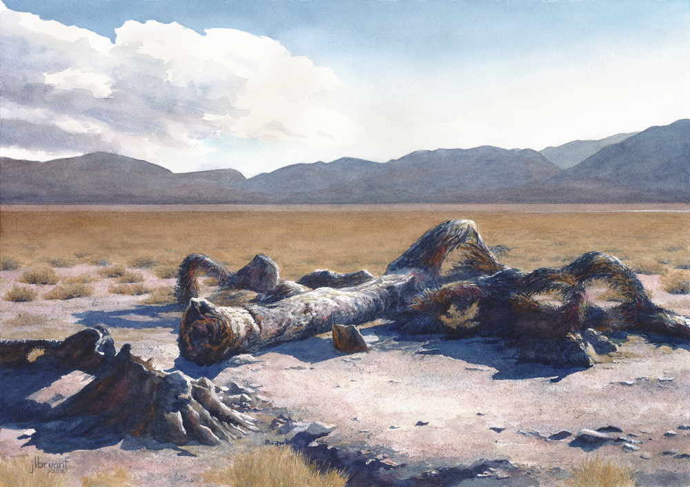 Demise of an Icon, The U2 Joshua Tree, outside Death Valley Nat'l Park watercolor : 14 x 20" : print $175 : original available