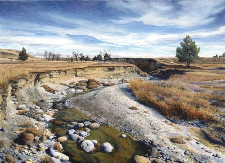Sage Creek in Spring, Badlands National Park