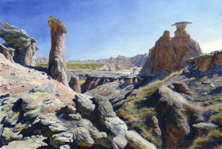 Rock Field in Palmer Creek, Badlands National Park