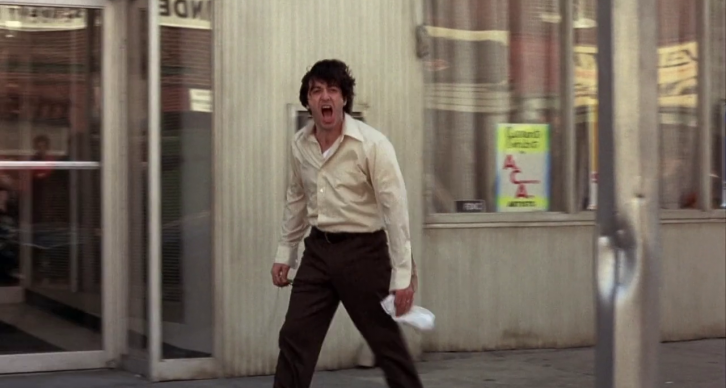 34. Dog Day Afternoon