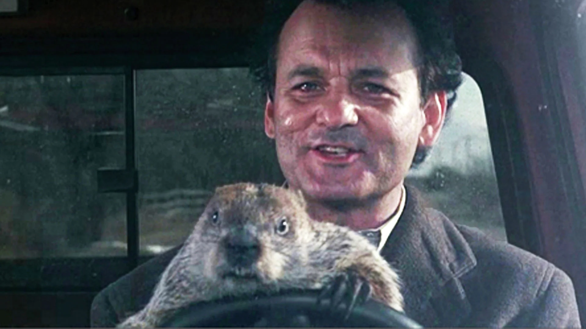 39. Groundhog Day