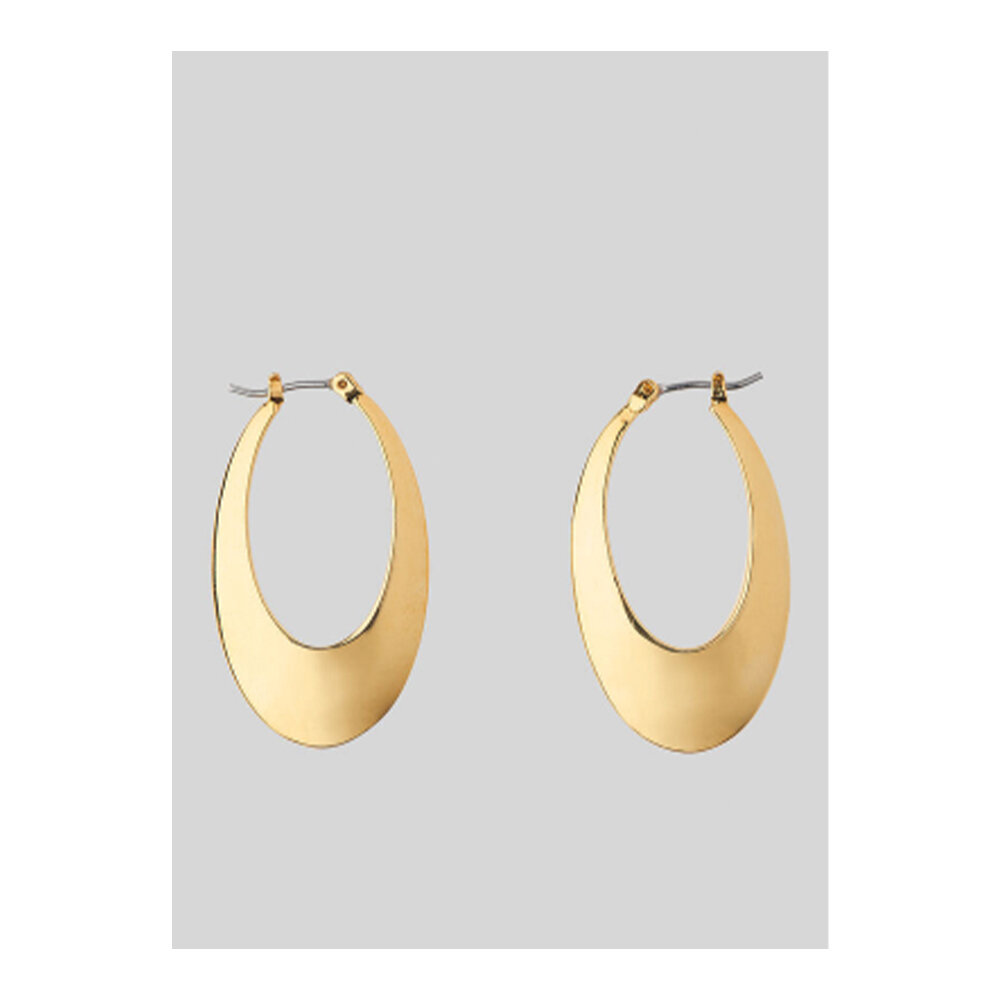 Large oval hoop earrings by Whistles £29