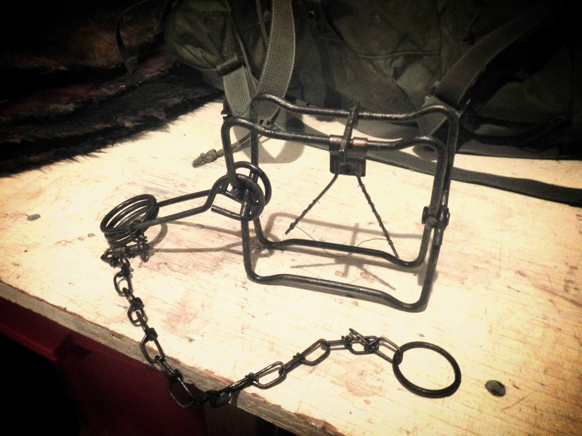 The standard 110 body-gripping "Conibear" trap. 
