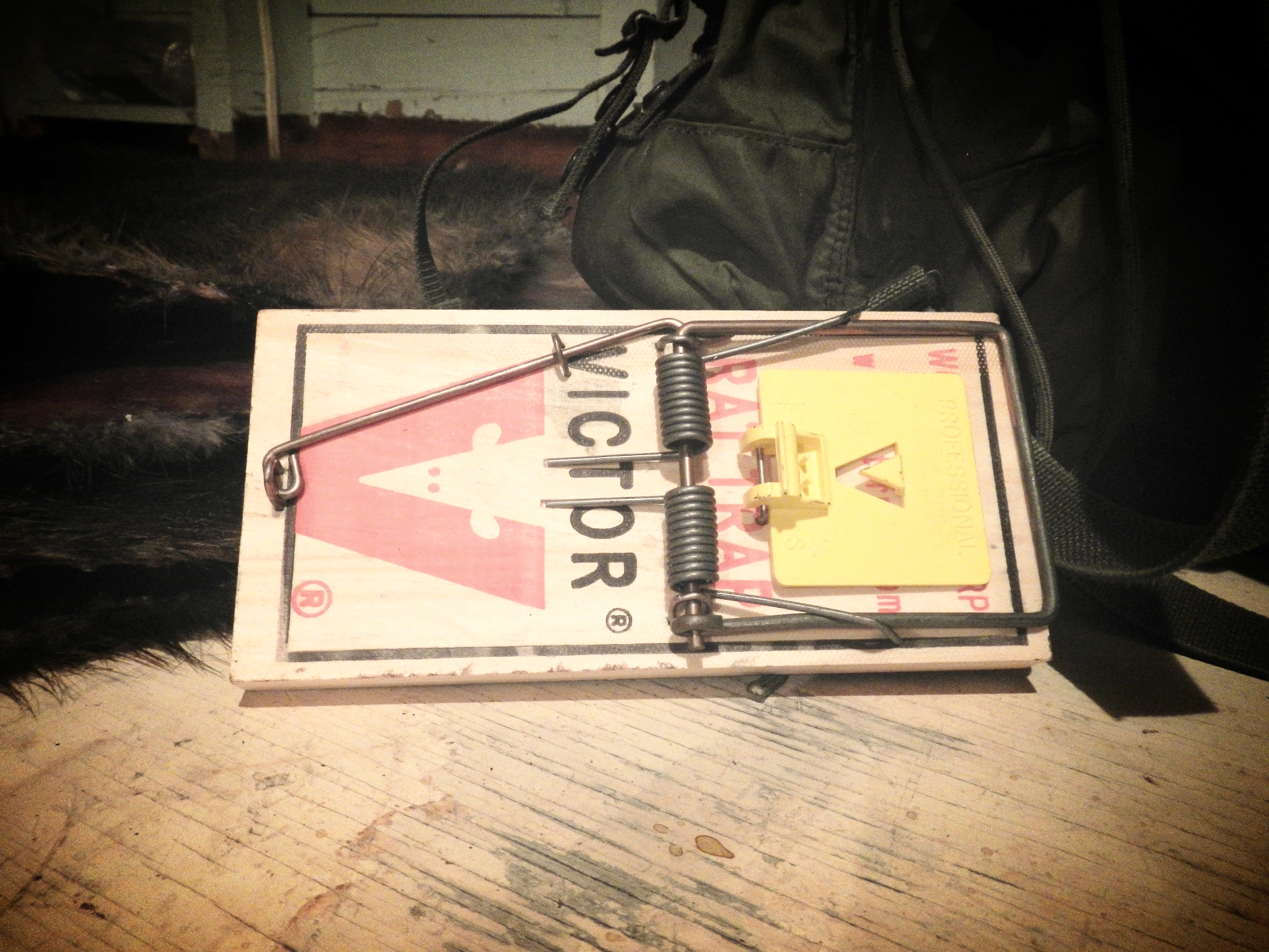 Standard rat-size snap trap. 