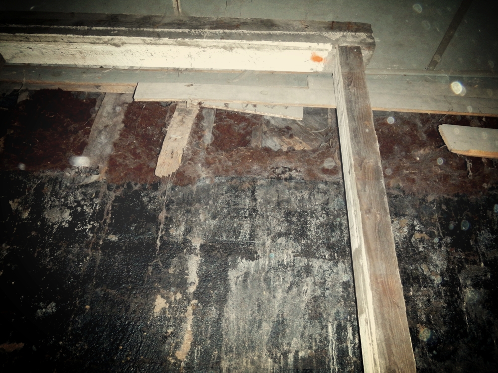 The large interior basement side-wall.