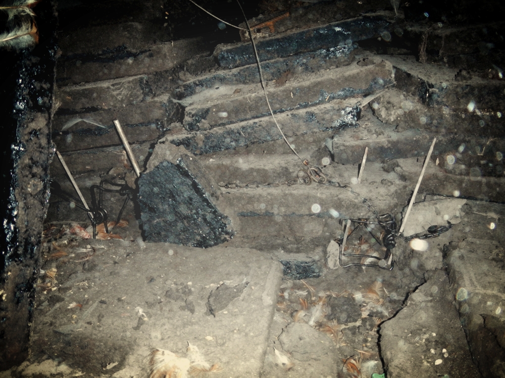 The corkboard pile - note the chicken carcasses around the traps.