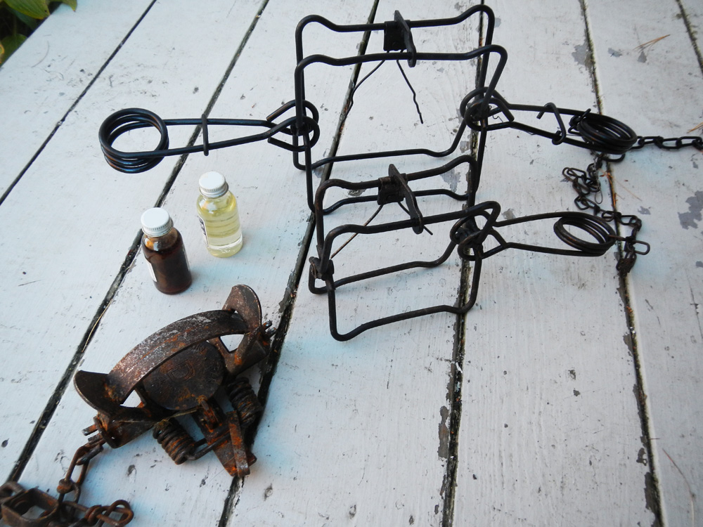 The common tools of the muskrat trapper.