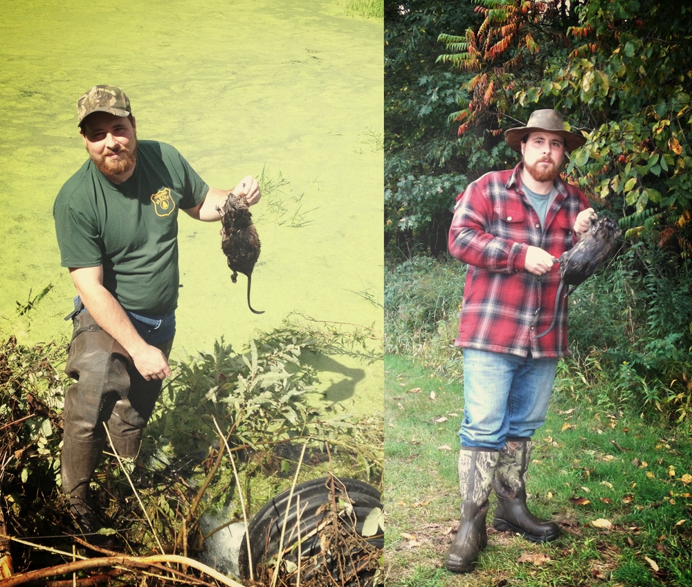 The author with a couple muskrat catches around a man-made pond.