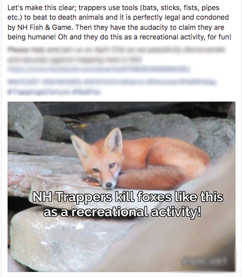 A recent social media post by local activists. Notice the description of "creative ways" these people think wild animals are dispatched. Bats? Fists? Pipes!? Good lord lady, we're out trapping - not gearing up for a bar-brawl or a gang war!