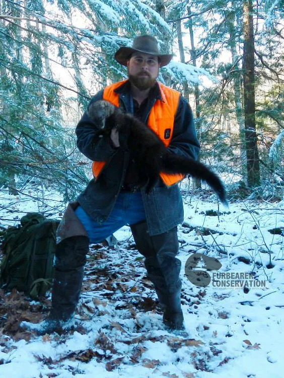 (Photo | Furbearer Conservation™)