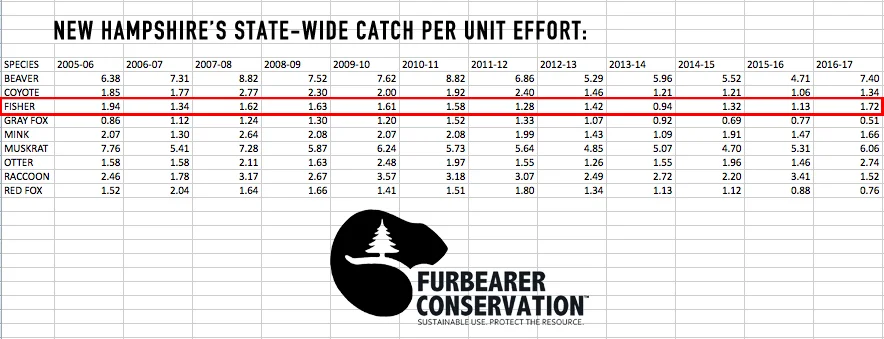 (Table 1) With data furnished from NH Fish and Game, the CPUE totals for furbearing species are laid out from seasons 2005 to 2017. Note the steady continuance of the fisher’s year to year CPUE.