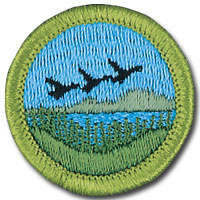 BOY SCOUTS 9810 NEW CONSERVATION OF NATURAL RESOURCES TYPE H  MERIT BADGE