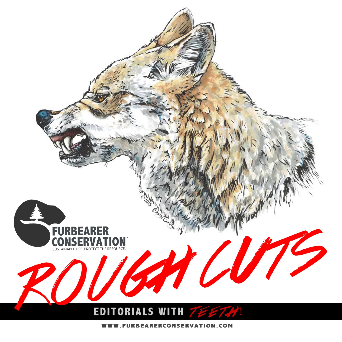FC_RoughCuts_Title.jpg
