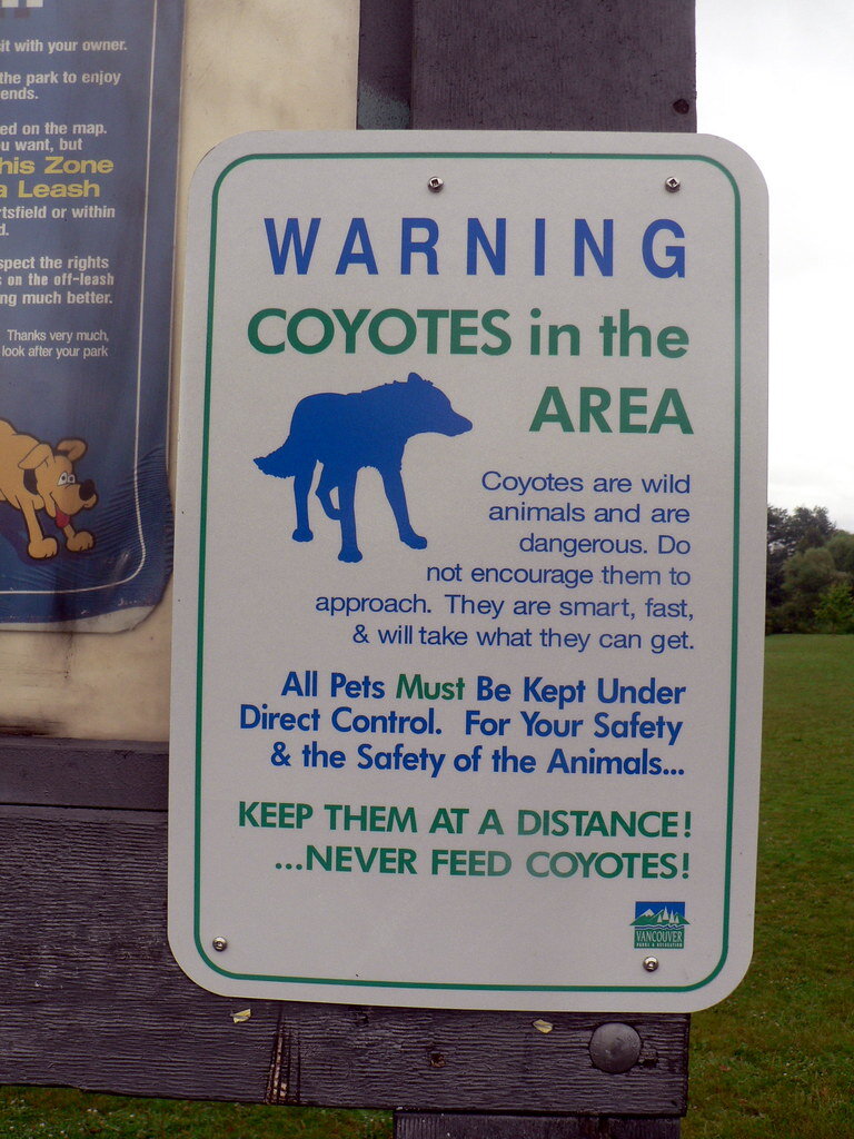 Despite the signs, urban wildlife conflict continues to rise in California. (Photo | Felix E. Guerrero )