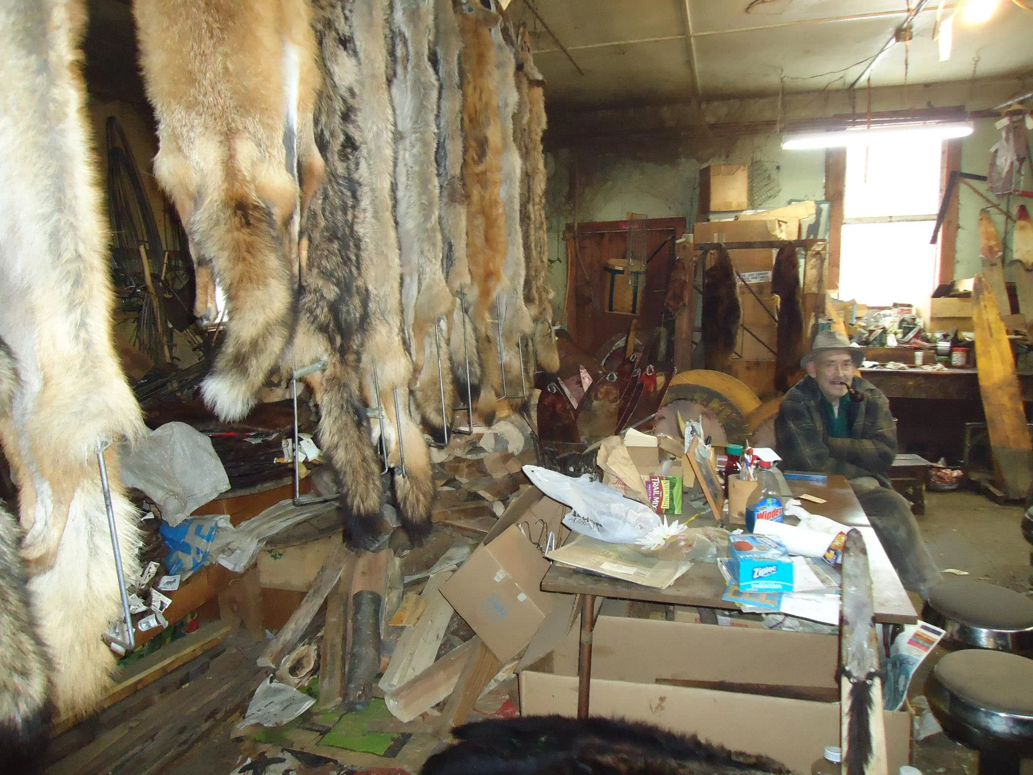 Harris sits in his shop with a collection of put-up fur. (Photo | J. Leibrandt )