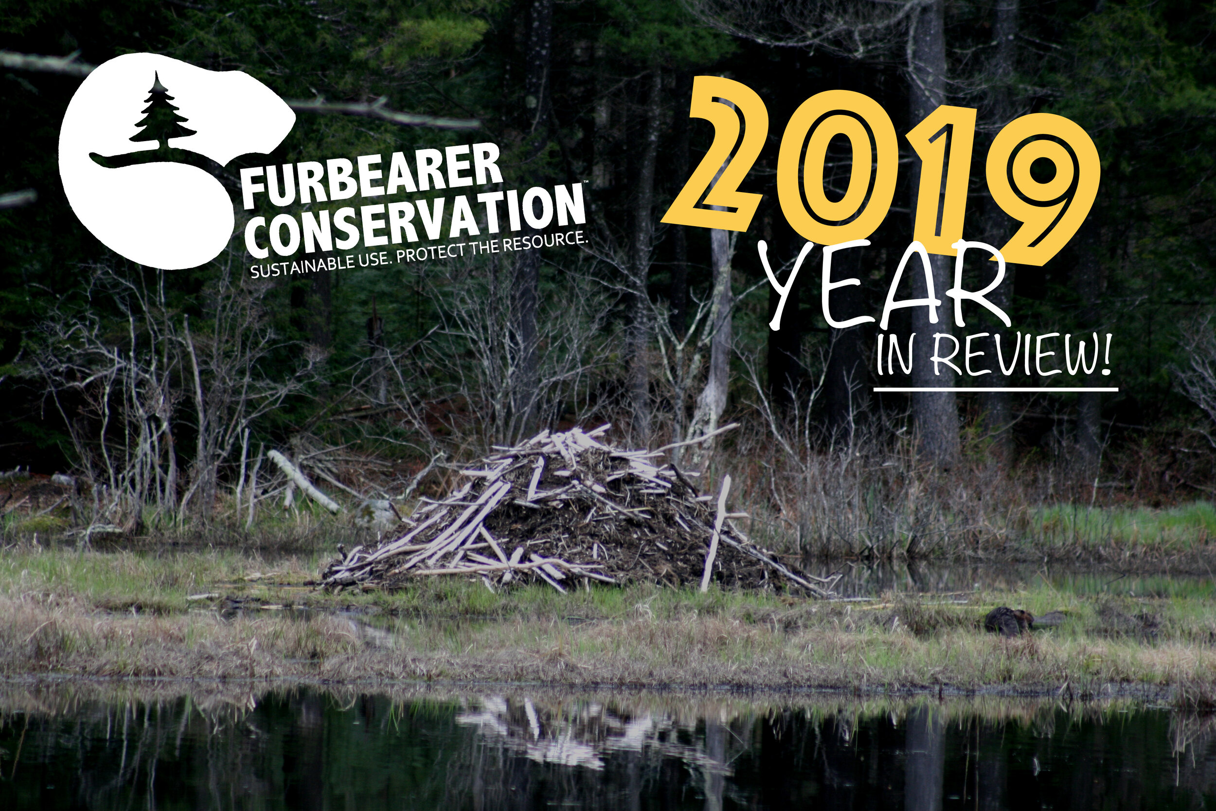 Furbearer Conservation 2019 Year In Review! — Furbearer Conservation