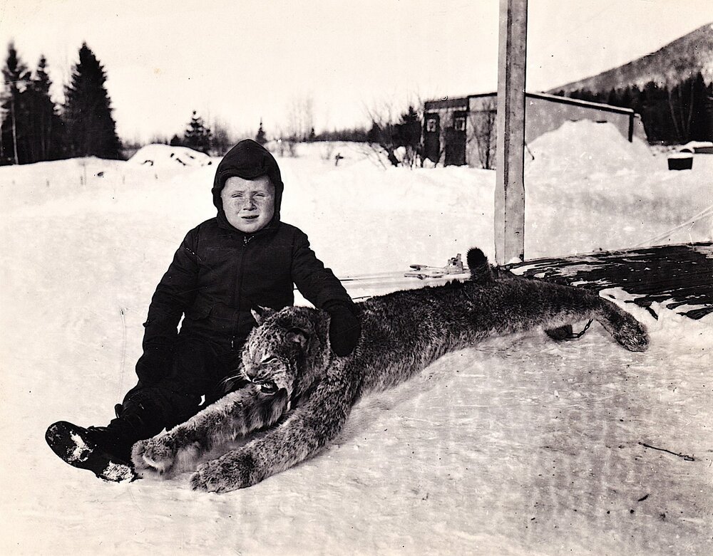 Son Gene with Lynx