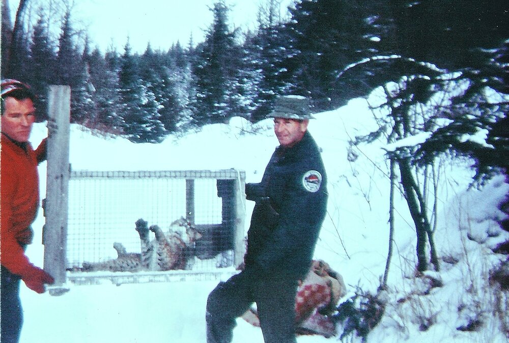 Raymond with Bobcat