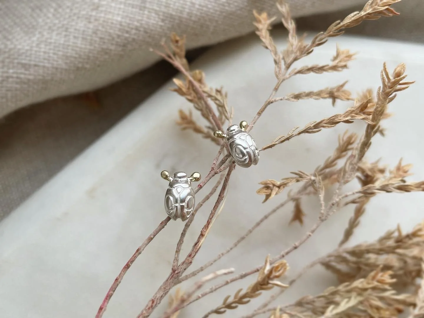 093448F8-88BF-4553-80DE-DA8B046D7DAE