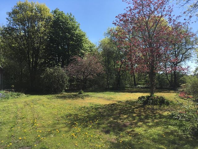 Tag med på sommerskriveferie med HUF