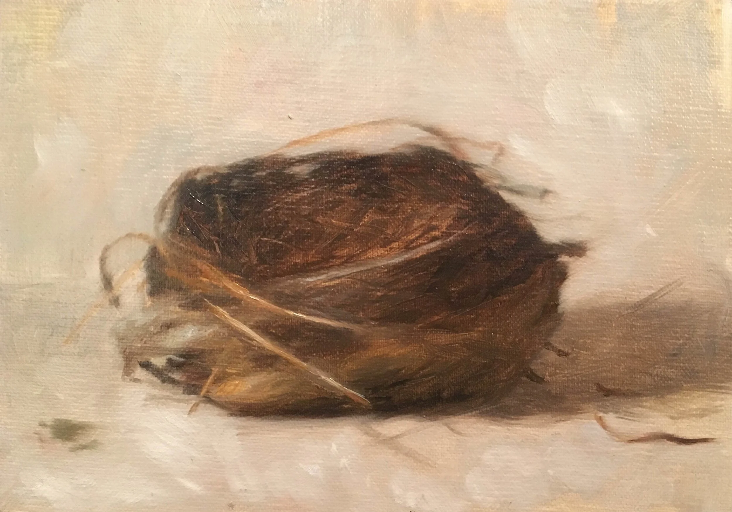  Oil on Linen  5” x 7”  Sold 