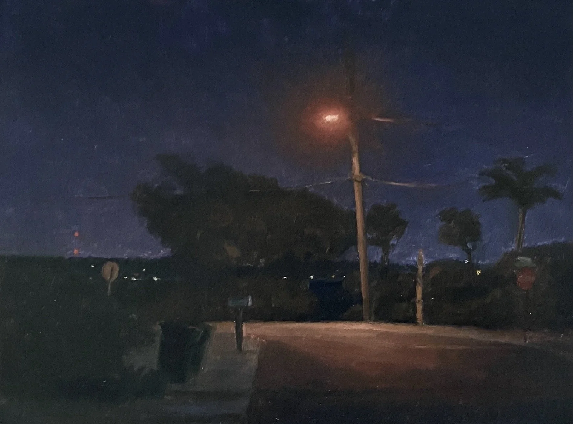 Florida Night 