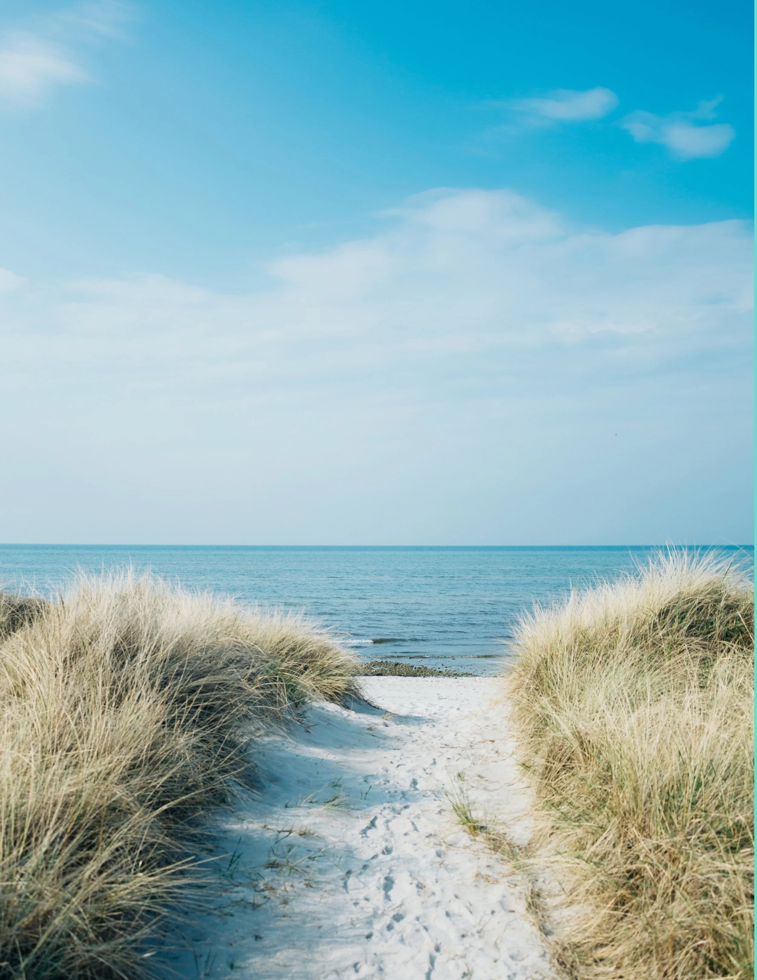 Summertime background (1).jpg