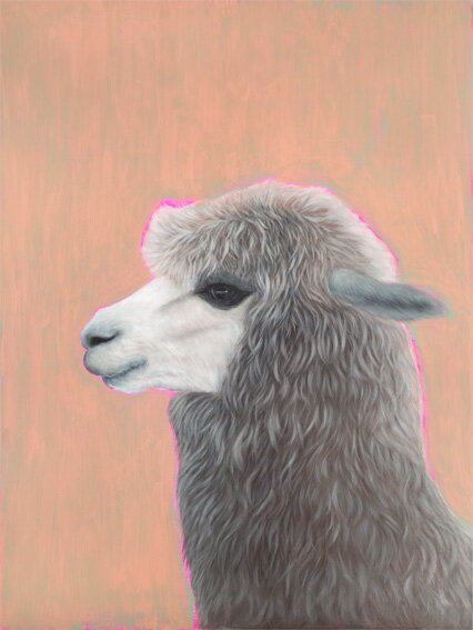 Drama Llama