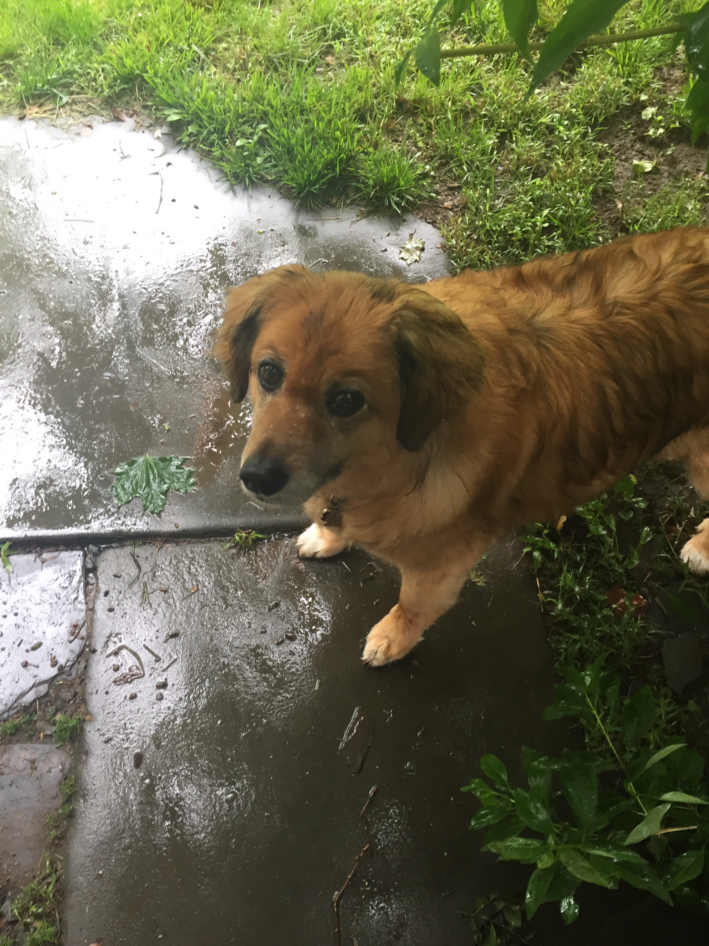☂ My rain work buddy ☂