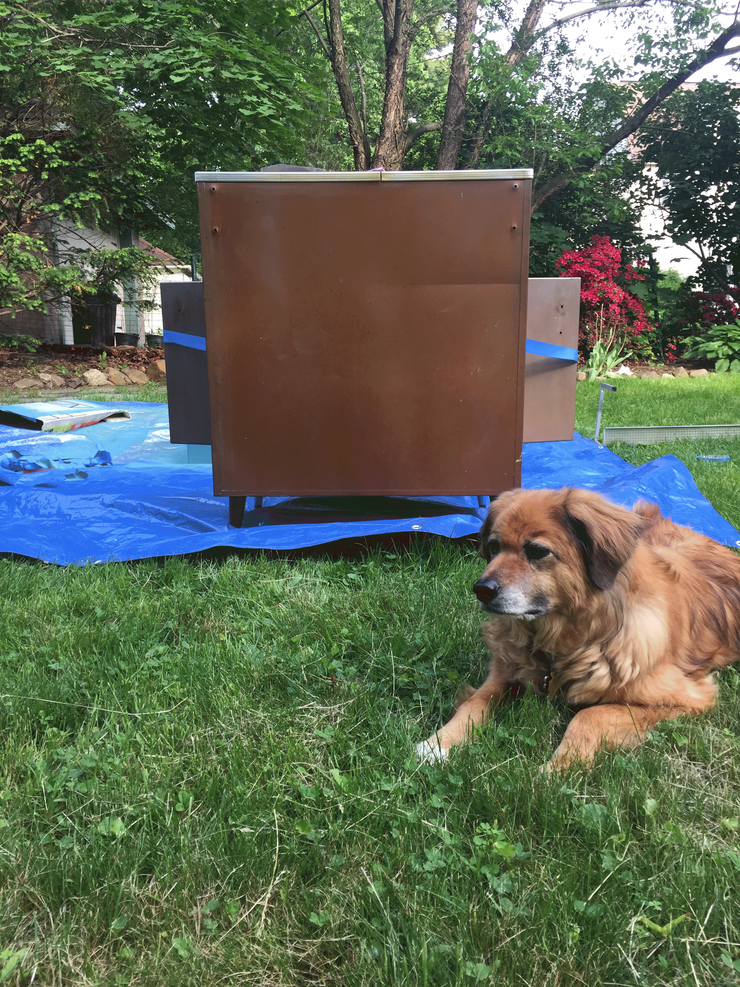 You can see how enthused my work buddy was about this project!