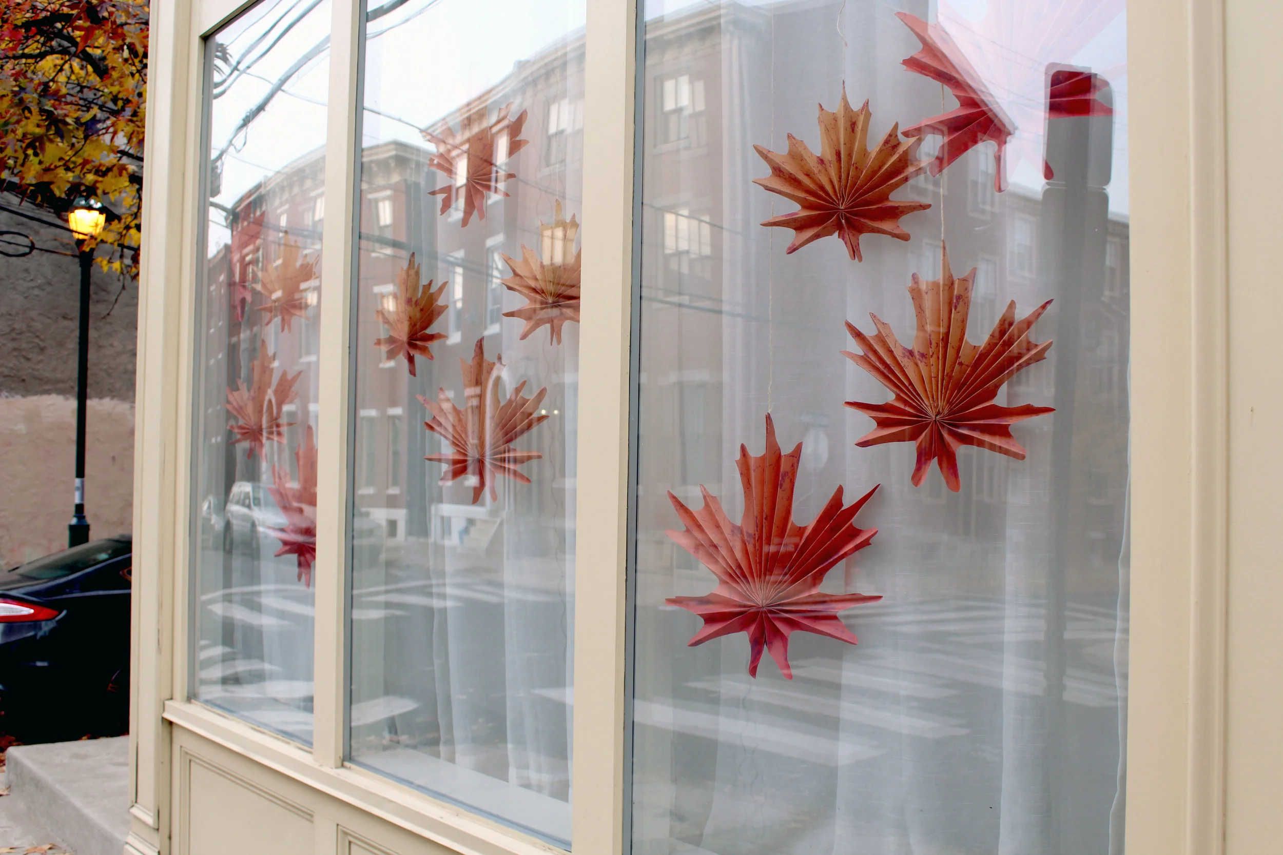 leaves-2.jpg