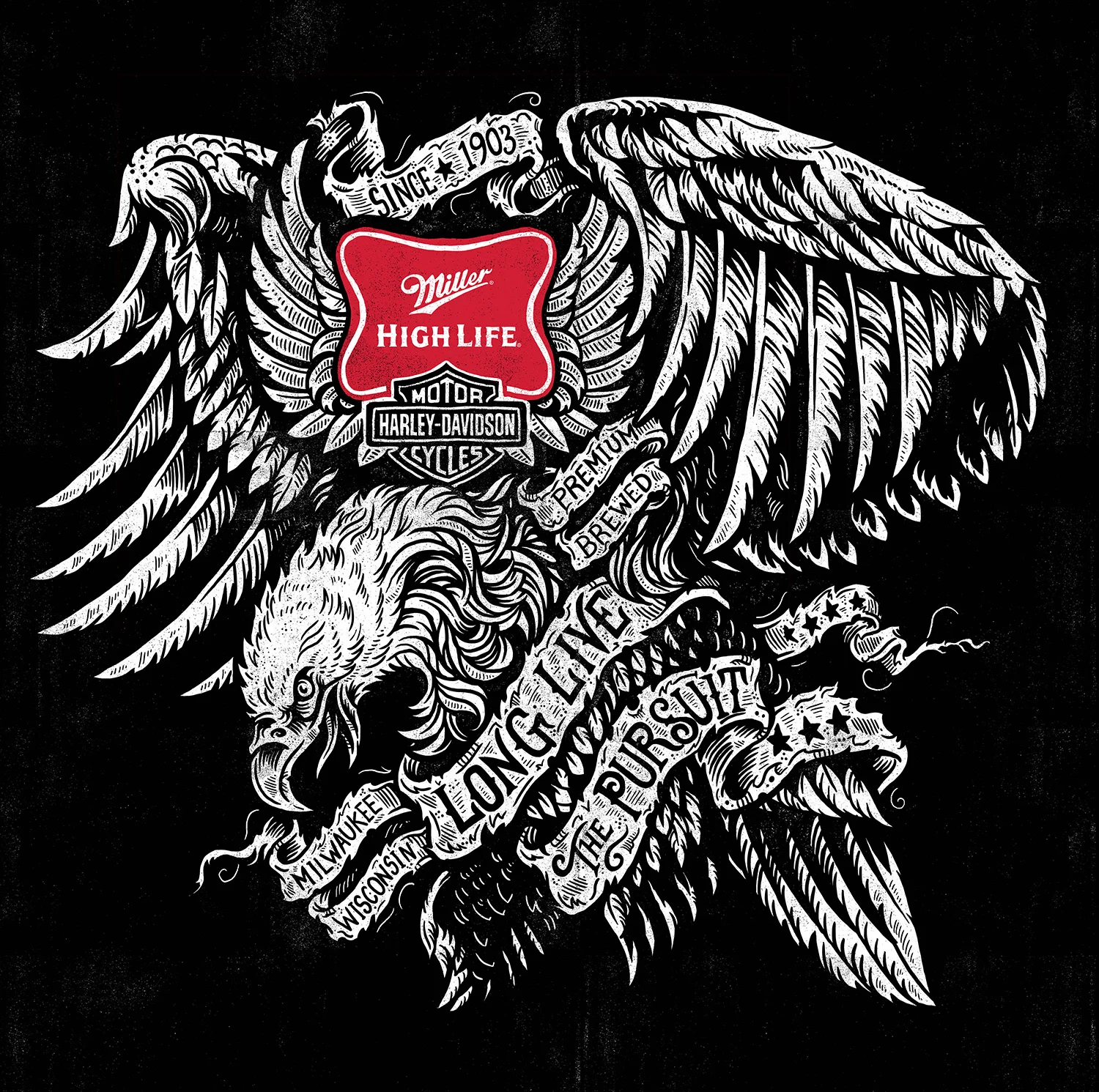 miller-eagle-illustration-low-low-res.jpg