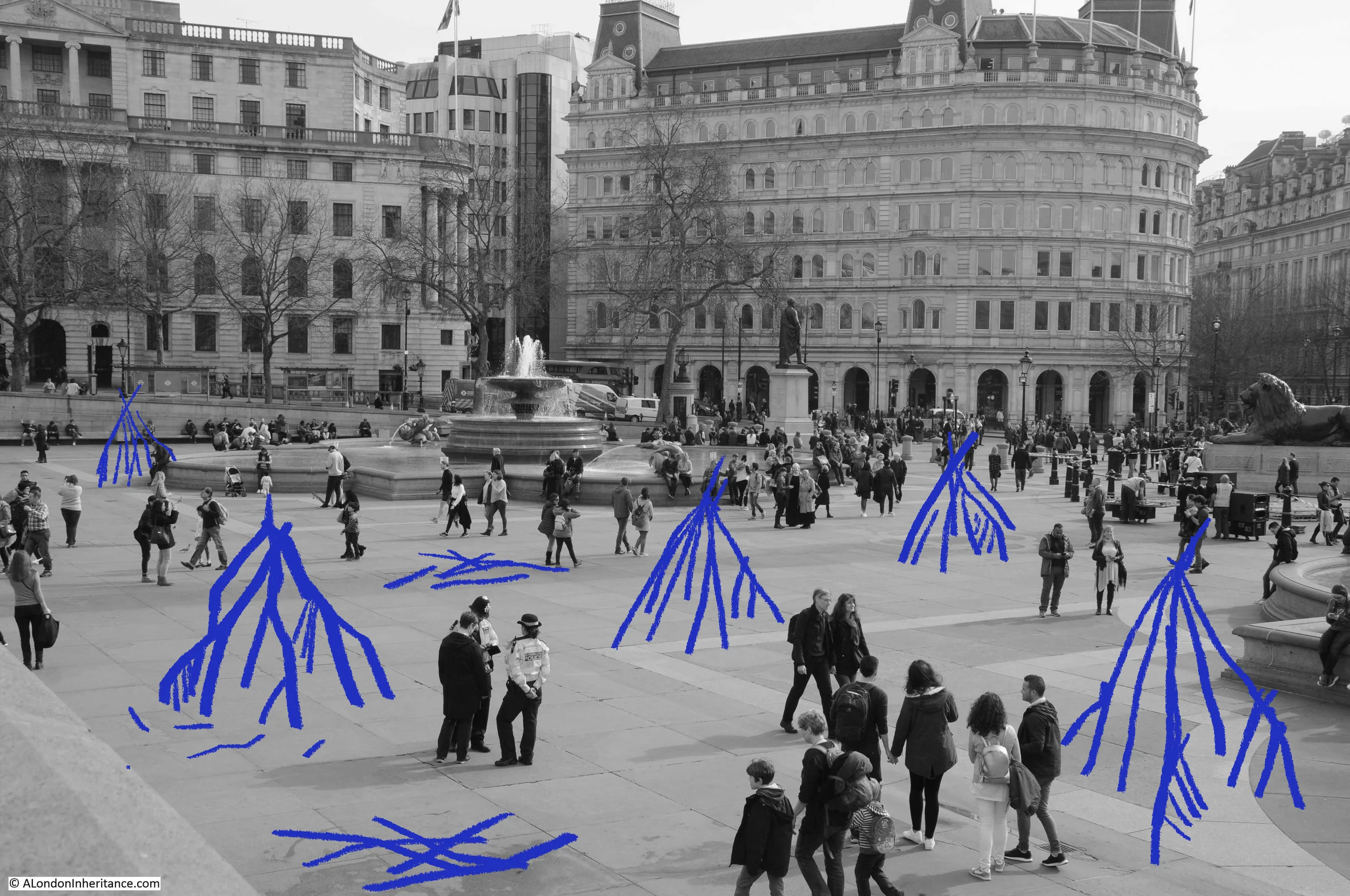 Rtrees4.jpg