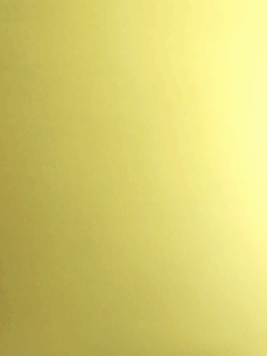 Life Lapse Best Stop Motion Free App.gif