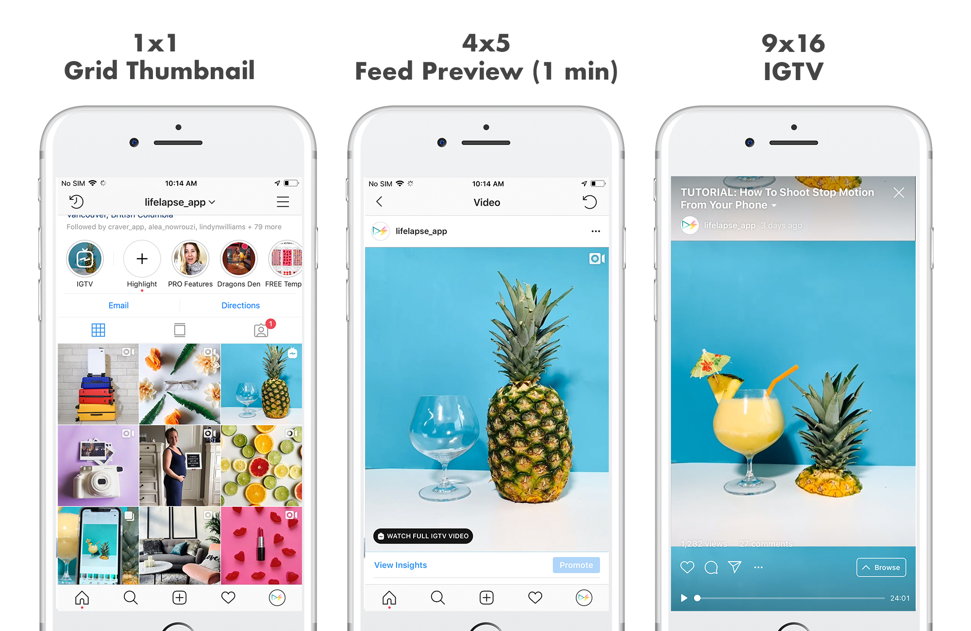 IGTV crop guideline for feed and cover photo.jpg