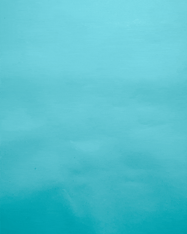 Stop Motion App.gif