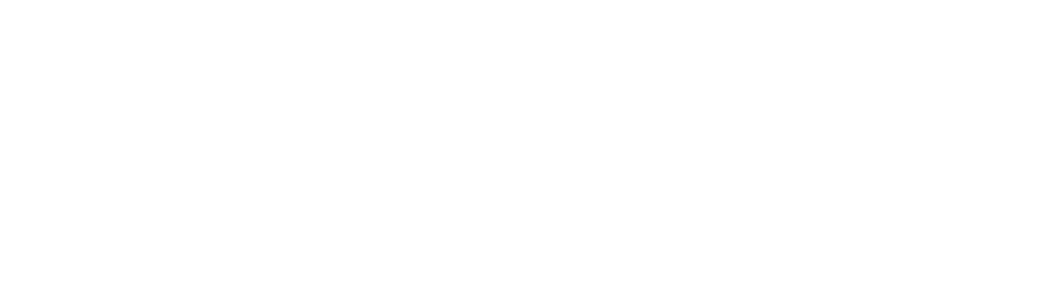 GForce Technology Consulting