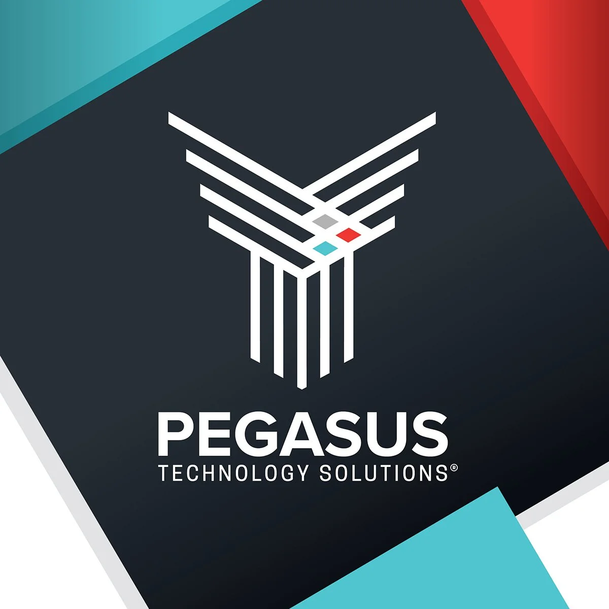 PEGASUS 1.jpg