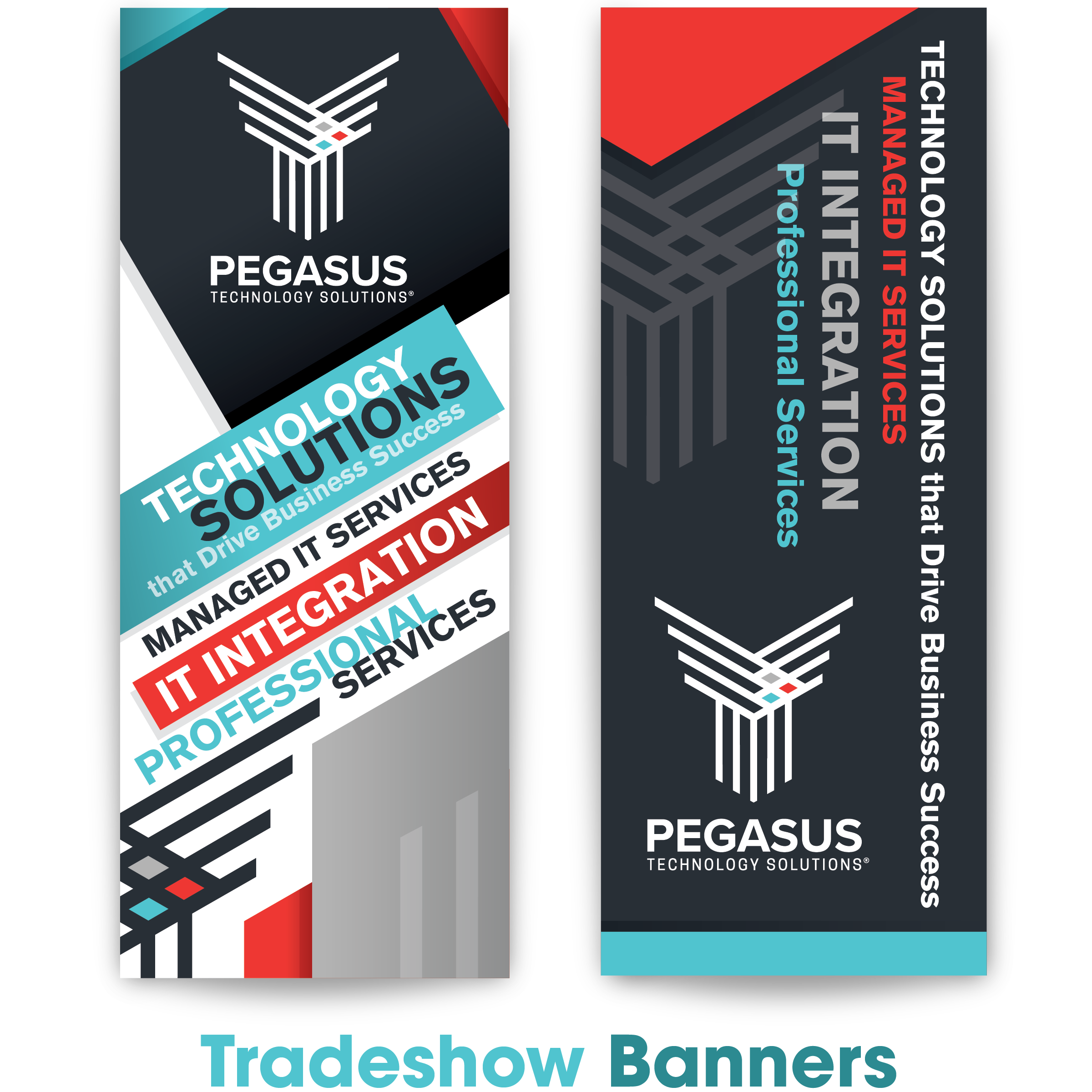 PEGASUS WALL BANNERS.png
