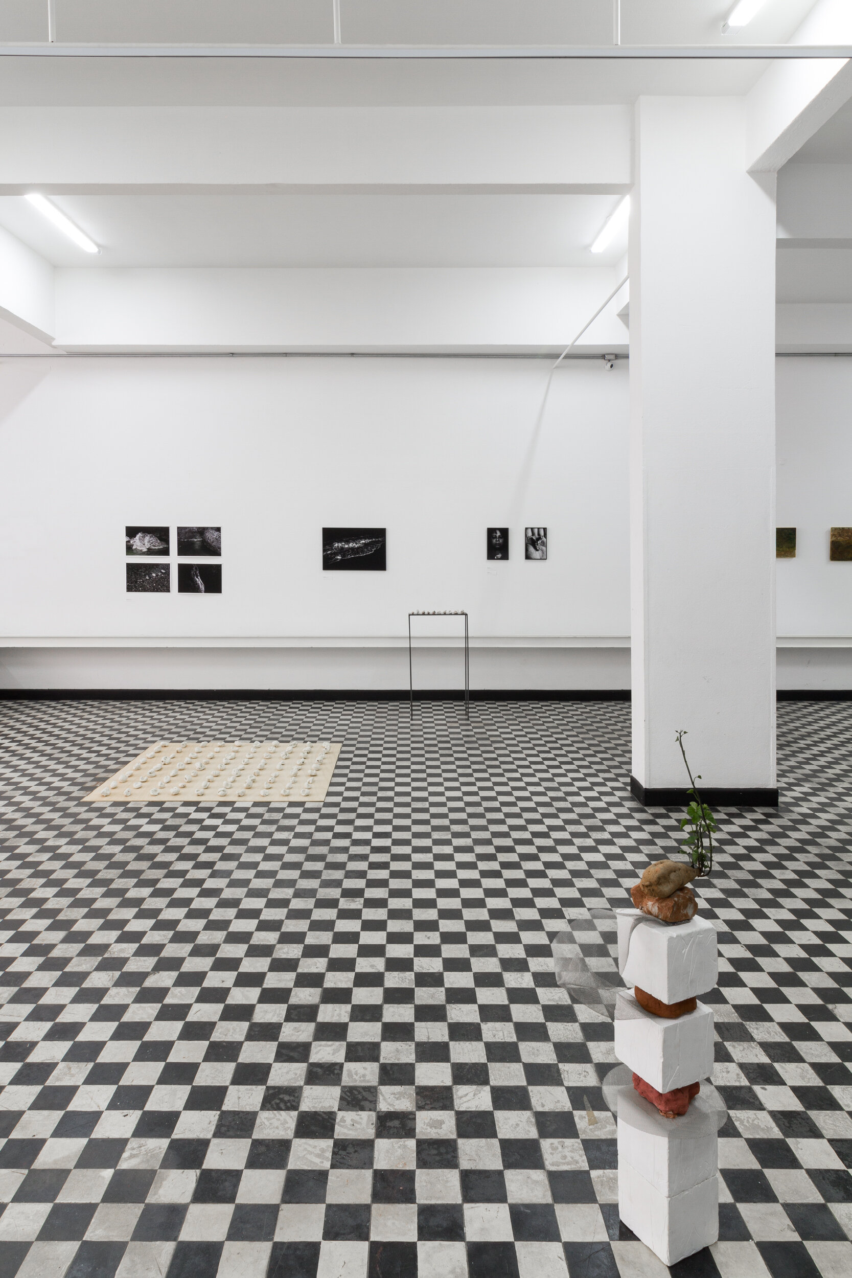  Vista da exposição Ânima, curadoria Piscina – Paula Plee e Ana Roman, realizada em 30 de novembro de 2019, no CC.Espaço, São Paulo-SP, Brasil – Foto: © Flagrante/Romullo Fontenelle.  