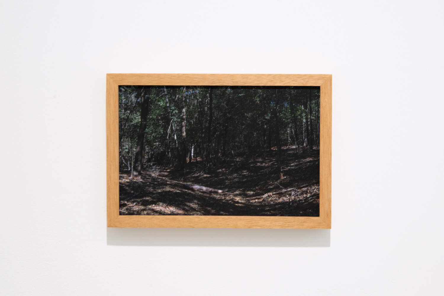  Vista da exposição  É o coração de tudo –  Galeria Ibeu, Rio de Janeiro, 2019. 