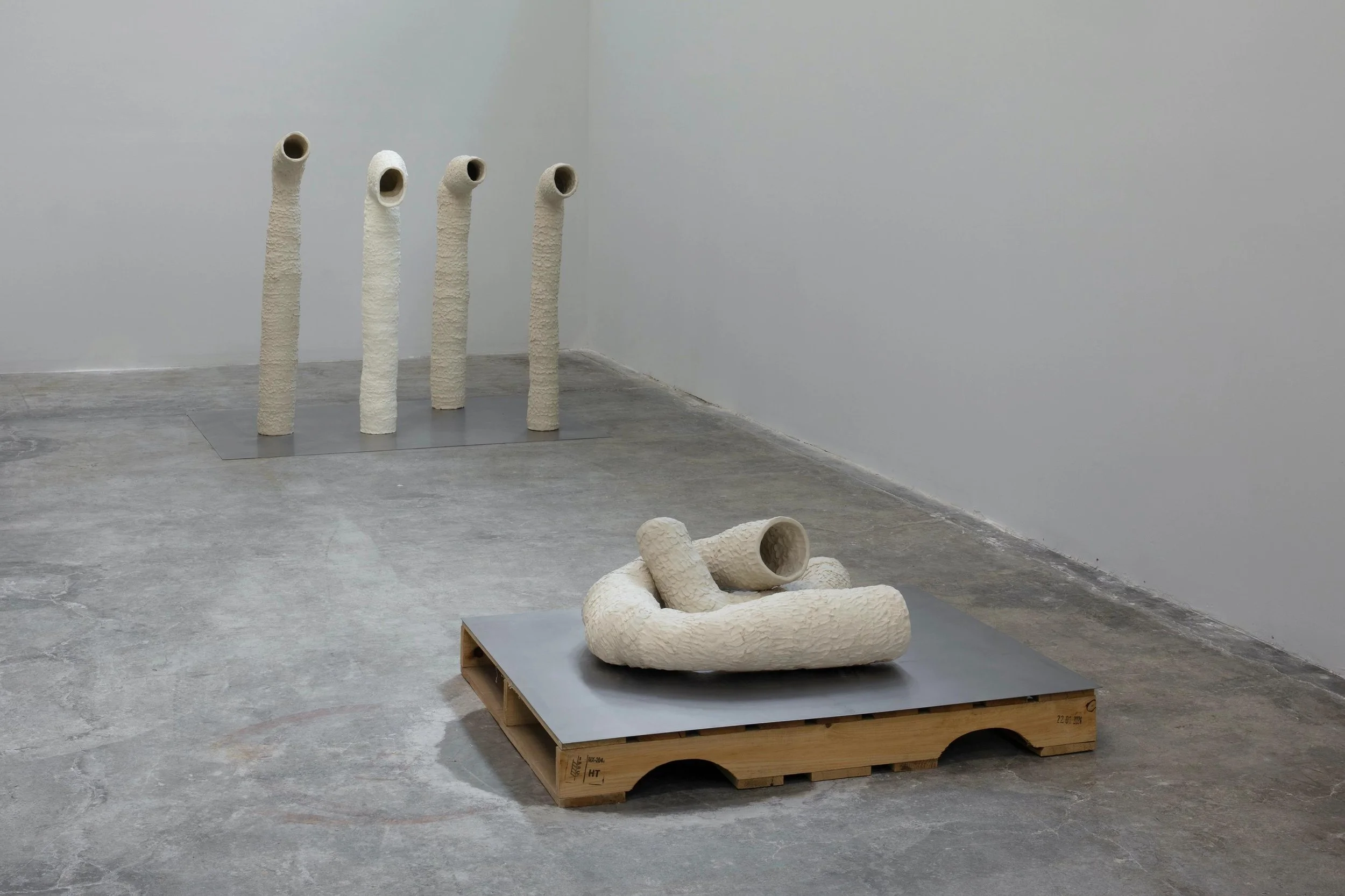  Foto: Ramiro Chaves (Cortesia da artista e Labor) 