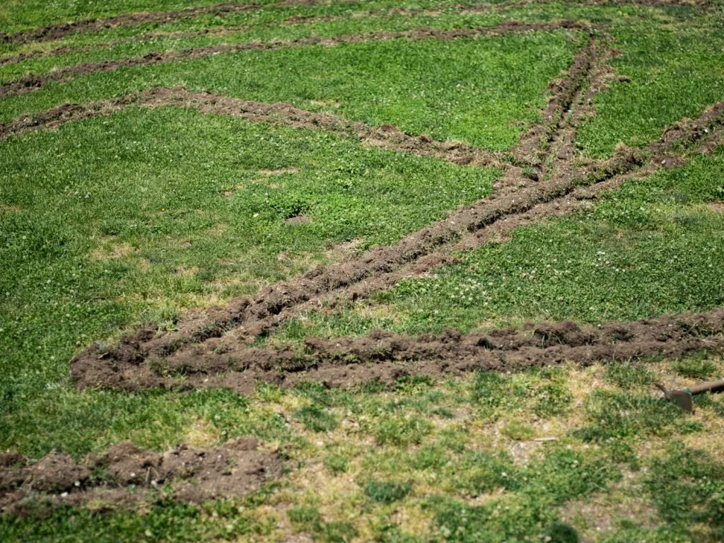  Raphaela Melsohn  Querido Hélio, I made a subterranean floorplan , June 17 – June 22, 2022 (Earthwork) Crédito: Júlia Pontés. Cortesia do Socrates  