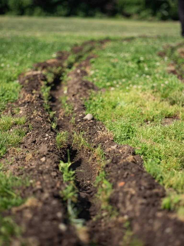  Raphaela Melsohn  Querido Hélio, I made a subterranean floorplan , June 17 – June 22, 2022 (Earthwork) Crédito: Júlia Pontés. Cortesia do Socrates  
